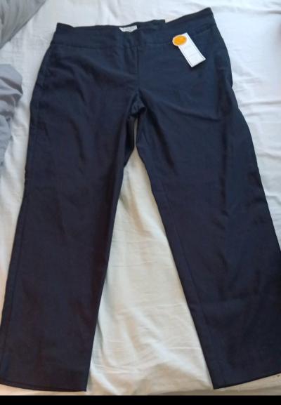 womanssize 12 short Charter Club Pants