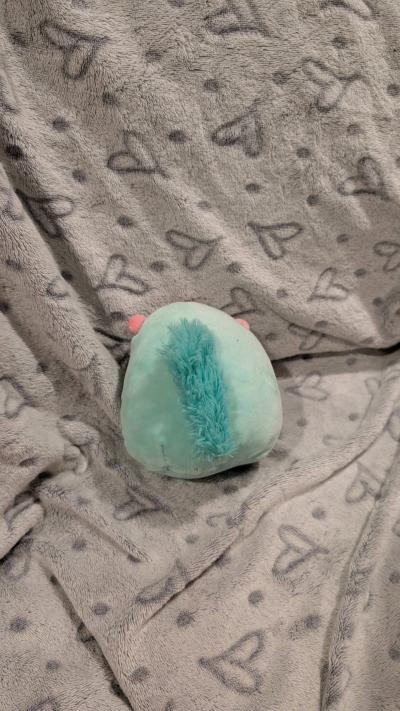 mini squirrel squishmallow teal and pink - Thumbnail 3