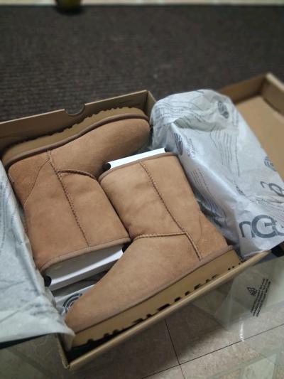 Womens Tan Ugg Boots Size 6 New in Box