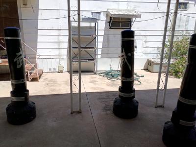 three punching bags and a yoga ball and a yoga ball - Thumbnail 3