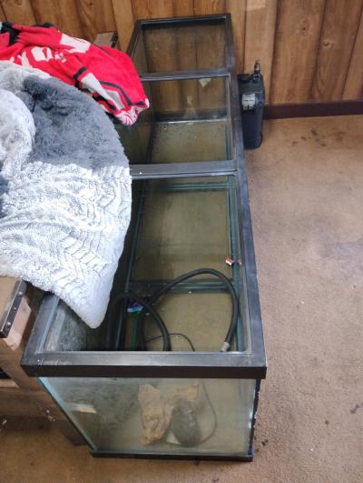 150 gallon aquarium with pump