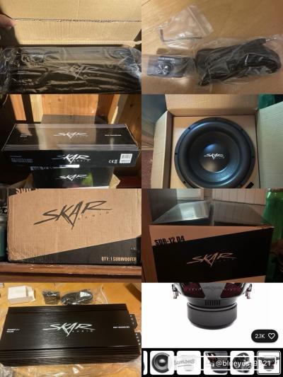 12 inch skar sub and skar amp and bass knob
