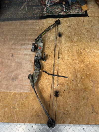 compound bow
