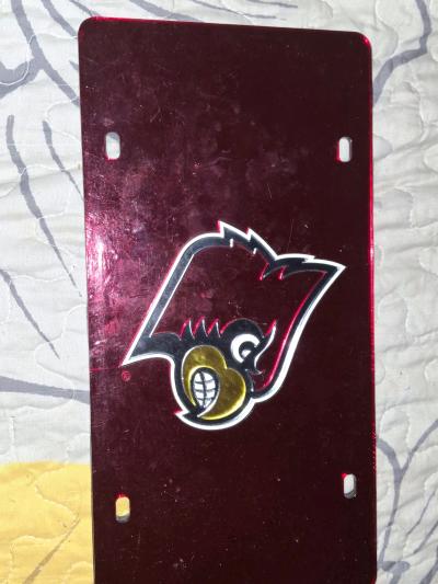 Lewisville Cardinals license plates - Thumbnail 2