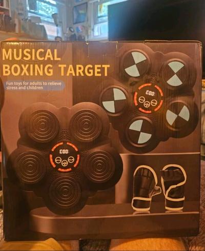 Musical Boxing Target Practice - Thumbnail 2