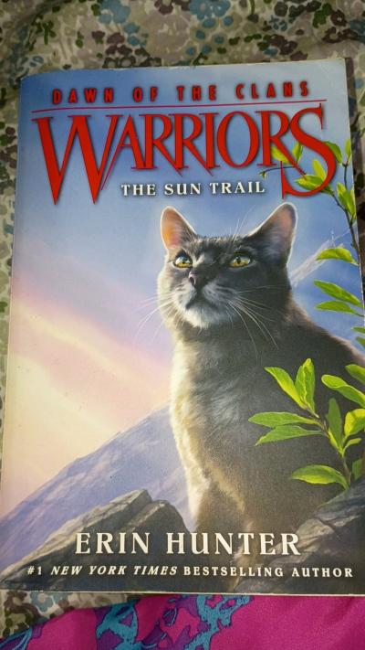WARRIORS 1 AND 2