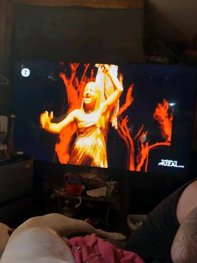 75 inch - Thumbnail 2