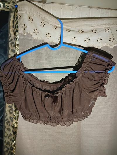 A Sweet Sexy Womans Brown New Top and skirt with Panties