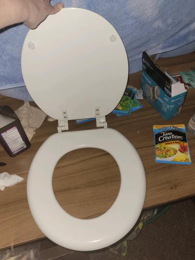 toilet seat clean and white no stains hard material