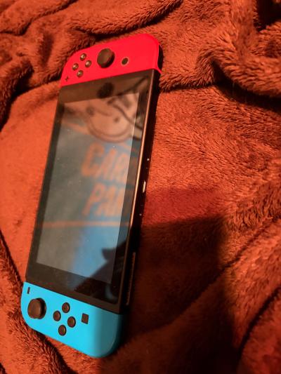 Nintendo switch just console dont have regular charger