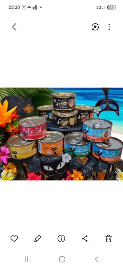 TIKI CAT Gormet cat food - Thumbnail 5