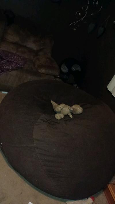 huge beanbag with king size mattress inside it - Thumbnail 2