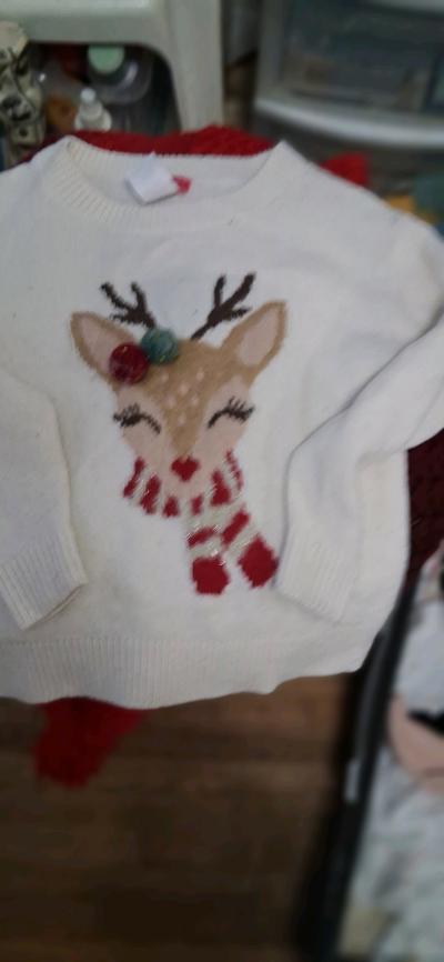 ZUNIE 4 TO 6 TODDLER sweater