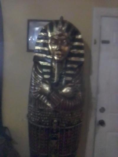 king Tut statue Bookshelf