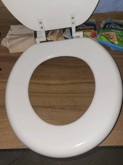 toilet seat clean and white no stains hard material - Thumbnail 5