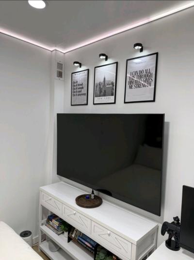 Large Flat Screen TV Wall Mounted