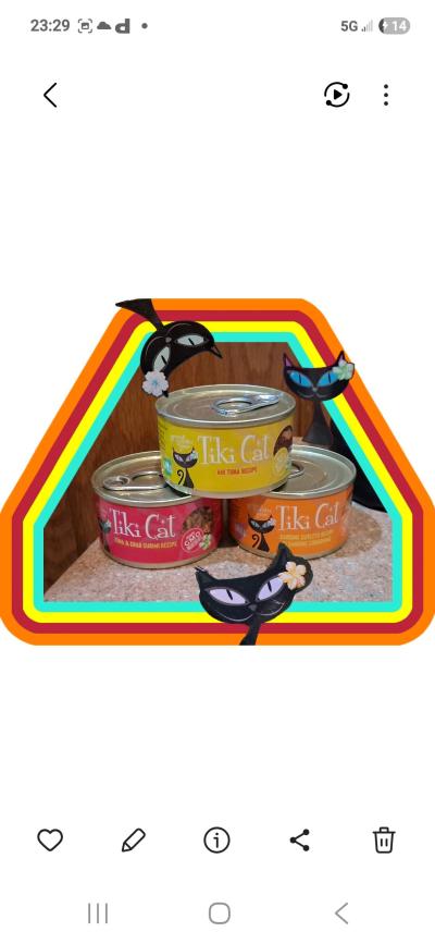 TIKI CAT Gormet cat food - Thumbnail 3