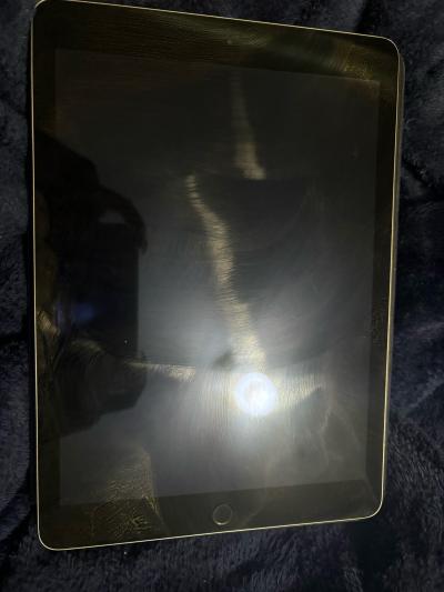 Apple iPad Air 2
