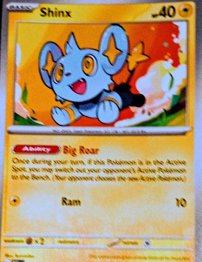 Pokemon Trading Cards