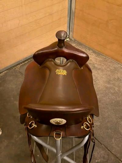 Tucker trail saddle - Thumbnail 5