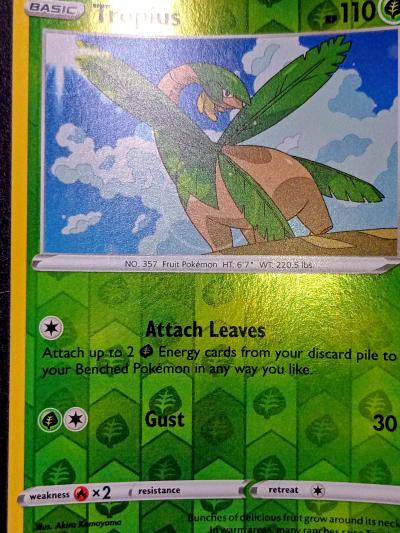 Pokemon cards - Thumbnail 12