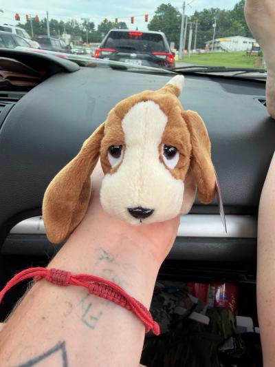 Ty beanie babies this is tracker - Thumbnail 3