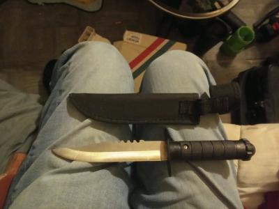 Eagle head plastic sheath 8 inch 13 inches overall combat - Thumbnail 2