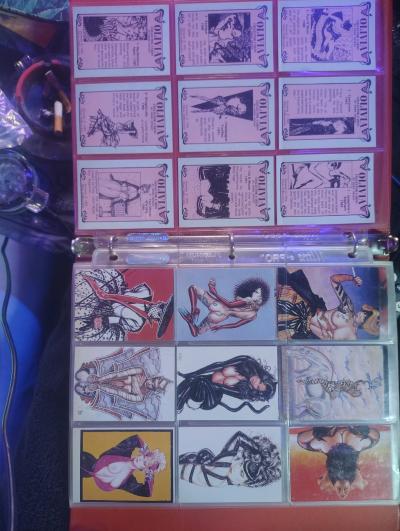 two complete sets of collectible cards featuring pornstars - Thumbnail 3