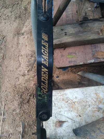 Golden Eagle compound bow in good condition