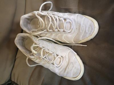 A Nice Pair of White Nike Max Pro Sneakers