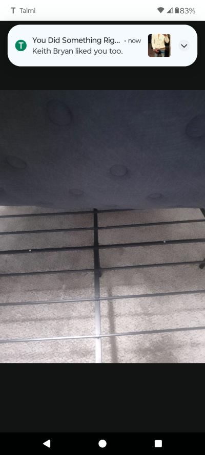 Black Queen Bed with Thick Mattress - Thumbnail 4