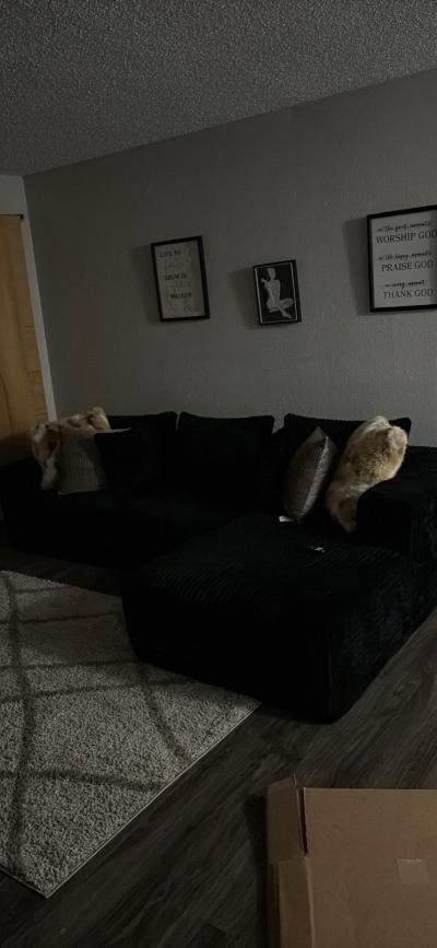 boneless couch with pillows and pics