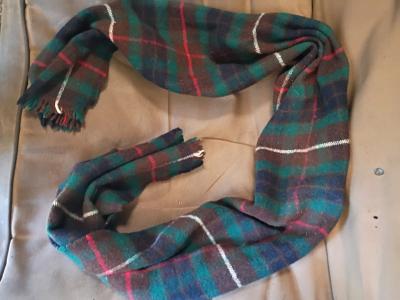 A Nice Womens Plaid Scarf
