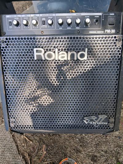Roland PM30 amp