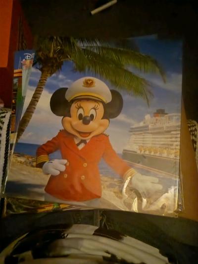 D23 magazines 14 in all 20 each all brand new - Thumbnail 3