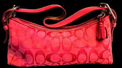 RARE Barbie Pink Y2K Vintage Coach Hampton Baguete
