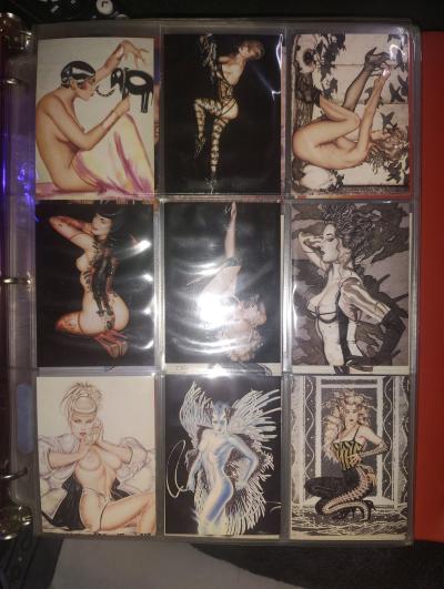 two complete sets of collectible cards featuring pornstars