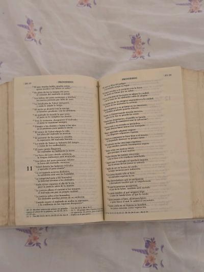 Biblia de Jerusalen para comunion - Thumbnail 4