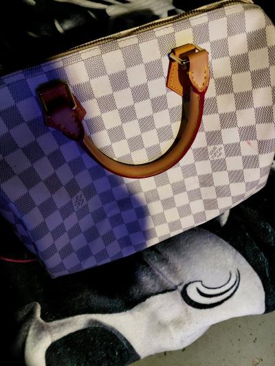 Louis Vuitton purse