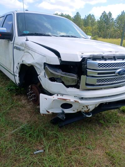 2014 Ford Platinum - Thumbnail 2