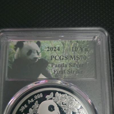 2024 10yn 30 gram silver coin first strike pcgs ms70 - Thumbnail 2