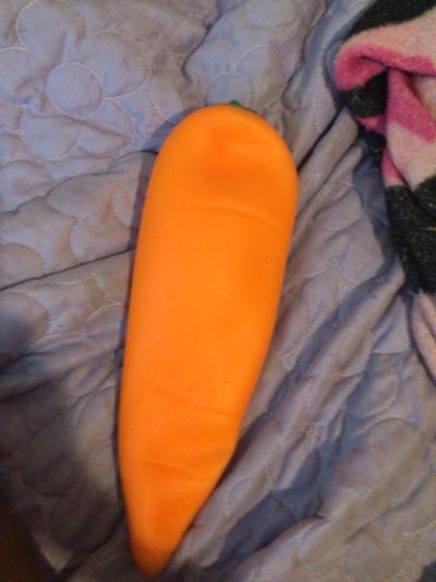 squishy carrot