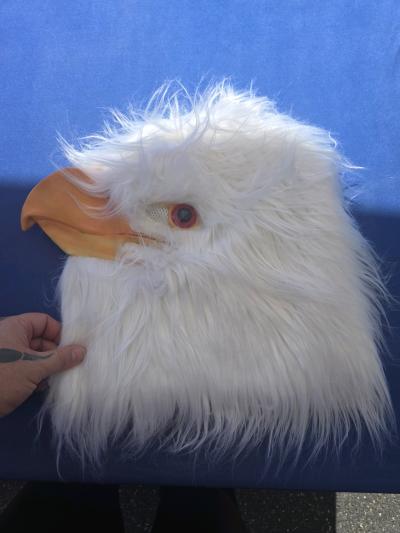 Eagles Mask very legit - Thumbnail 2