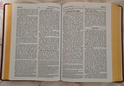 New American Bible saint Joseph - Thumbnail 5