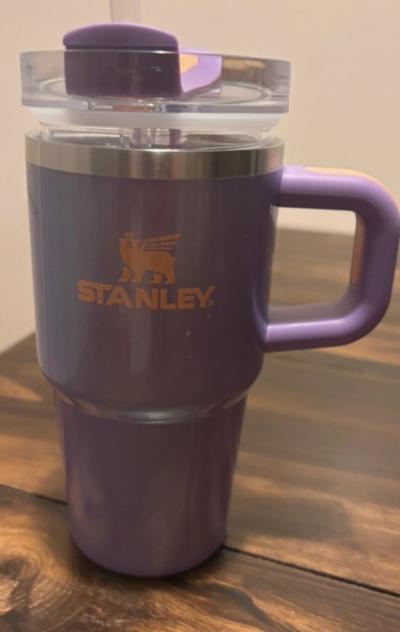 Stanley 20oz Purple with a hint of gold