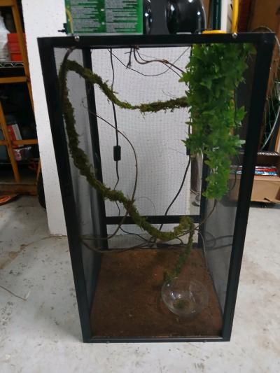 New chameleon cage