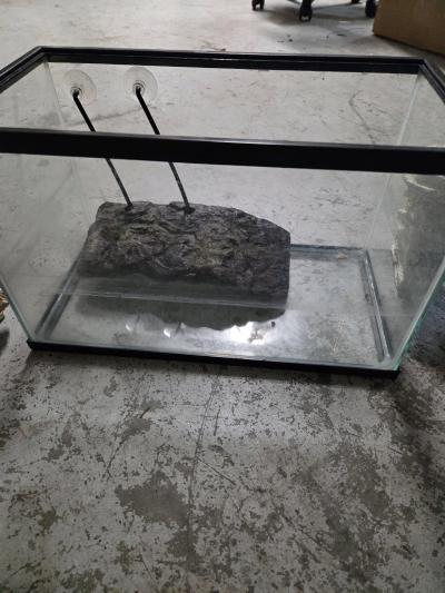 Turtle tank