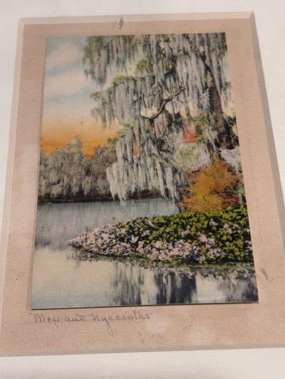 Antique framed hand colored photographs by Gibson 1900 - Thumbnail 4