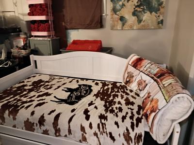 twin size day bed with mattress still in the plastic - Thumbnail 4