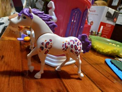 horse doll house dogs books blankets jackets popits